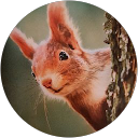 Profilbild von „Maria“